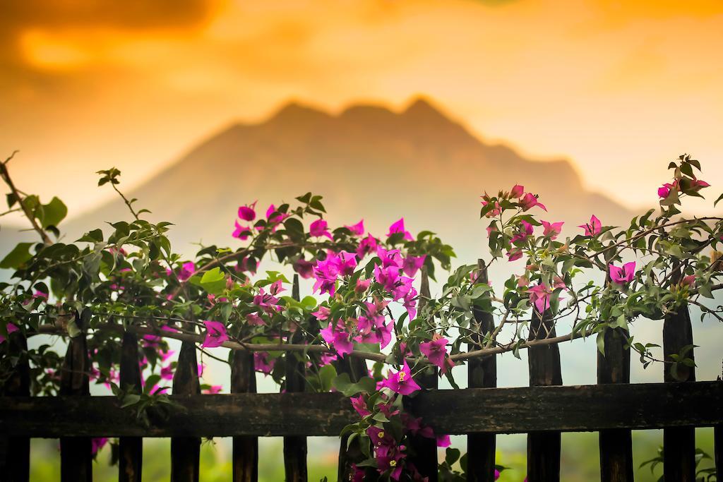 Casa Madre Tierra Ξενοδοχείο Vilcabamba Εξωτερικό φωτογραφία