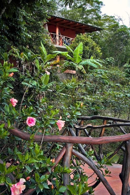 Casa Madre Tierra Ξενοδοχείο Vilcabamba Εξωτερικό φωτογραφία